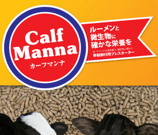 calfmanna