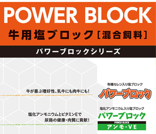 powerblock